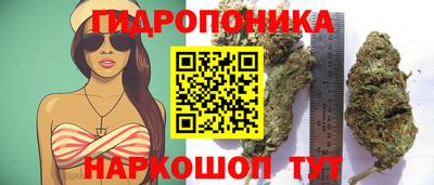 spice Гулькевичи